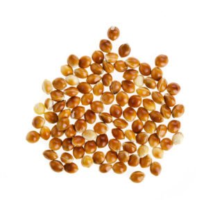 Millet
