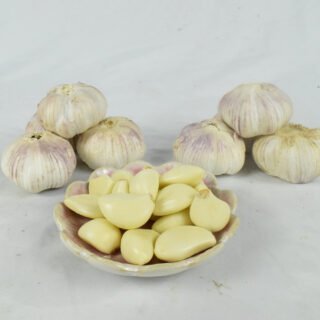 Fresh Garlic