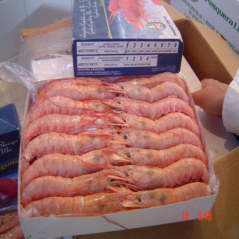 Shrimps - Image 3