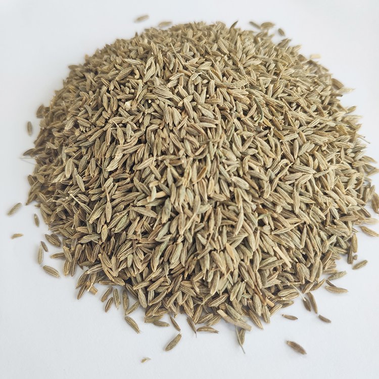 Cumin Seed & Powder