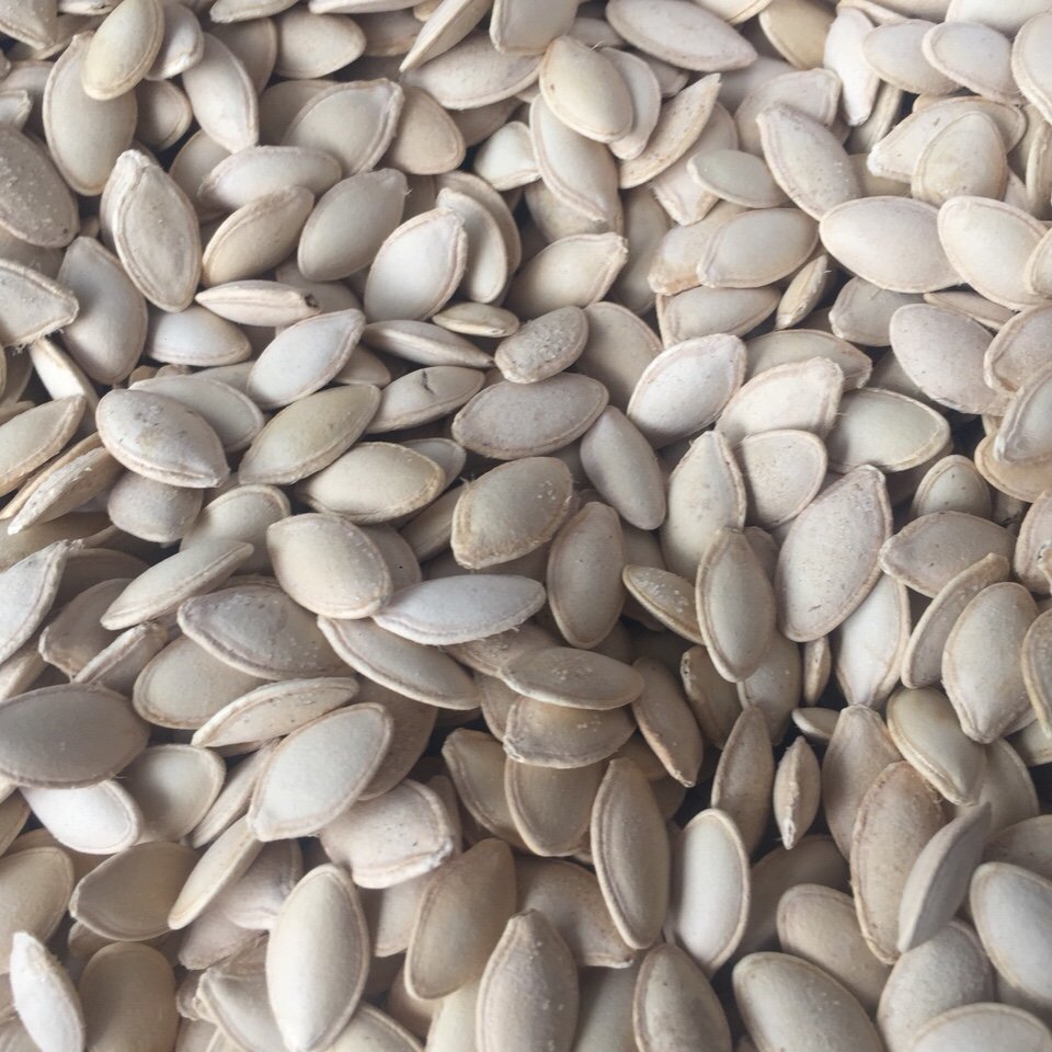 Pumpkin Seeds